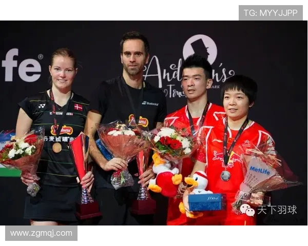 国际羽联超级赛混双组合默契度分析